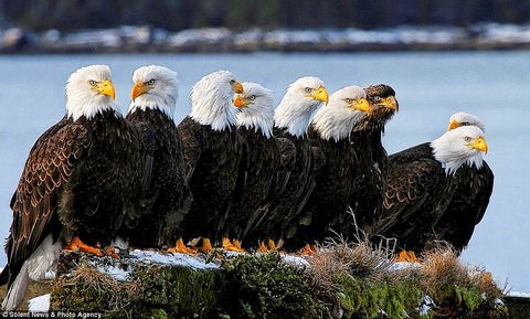 article-0-0B54626F00000578-614_964x580