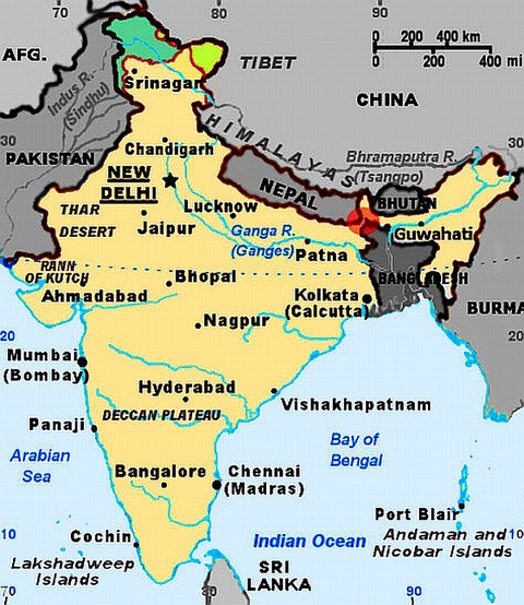 chickensneckindia1