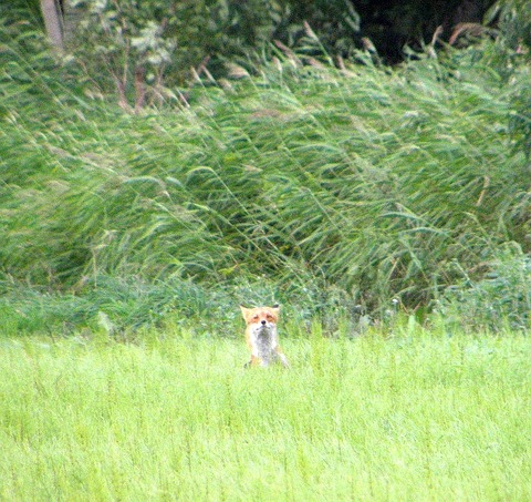 P8250037