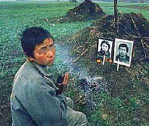 コピー ～ yCFY3s