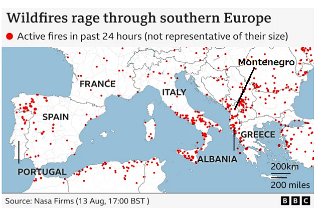 FireShot Capture 90 - Wildfire