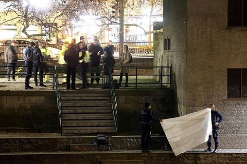 20161219T222721Z_1_LYNXMPECBI1AW_RTROPTP_4_SWISSSHOOTING