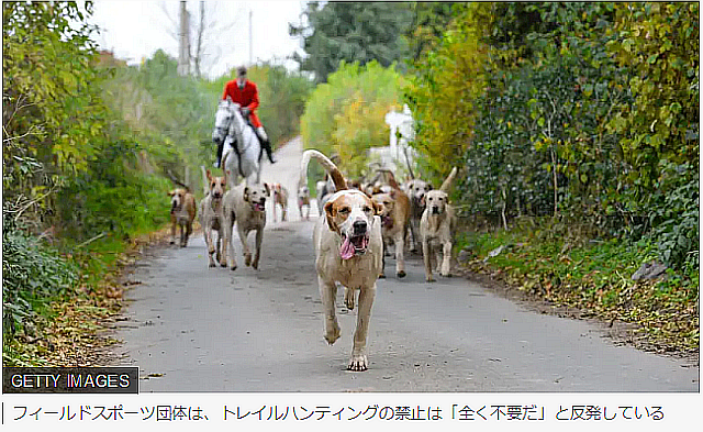 FireShot Capture 528