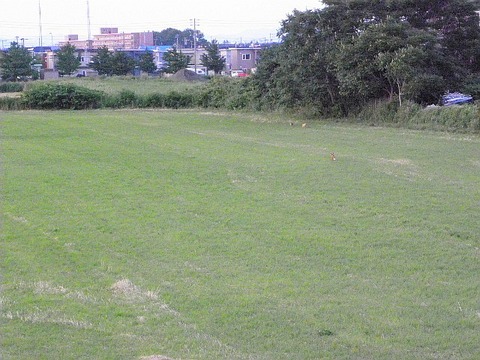 P7200429
