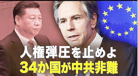 FireShot Webpage Screenshot #303 - '人権侵害