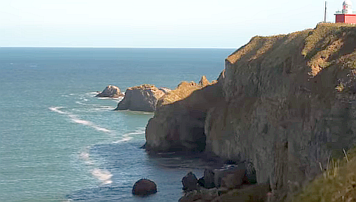 FireShot Capture 218 - 乱獲のせいで絶滅しか