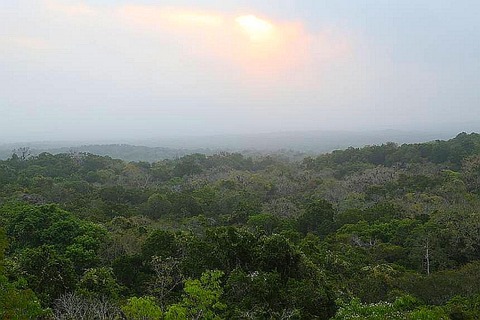 maya-biosphere-reserve.jpg.860x0_q70_crop-scale