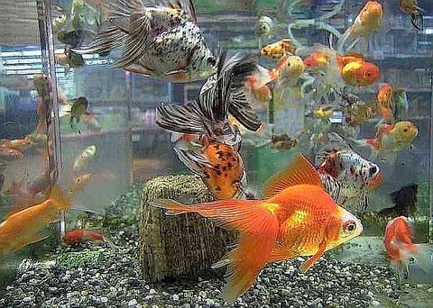 2012y09m21d_182330992-590x420