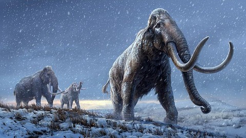 Steppe-Mammoth-Illustration-1536x864