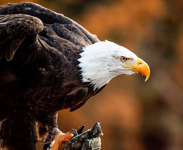 _uploads-world-3134-wpn_img2500107