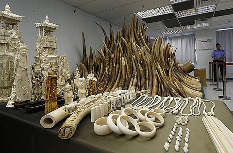 China_Smuggled_Ivory-0c9d1