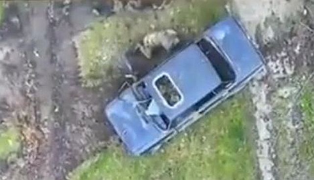 FireShot Webpage Screenshot #1369 - '(NSFW) Drone Bomber S