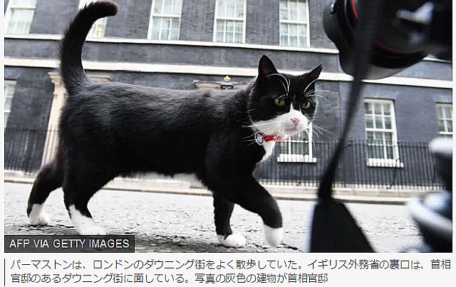 イギリス外務省の元「ネズミ捕り長官」、猫の「