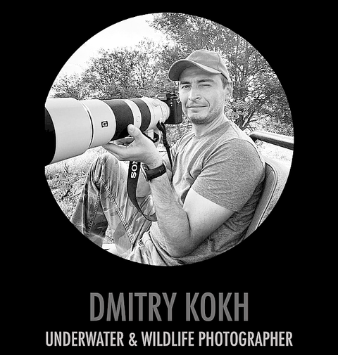 лого+сайт1