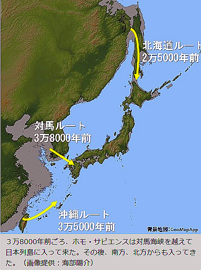 FireShot Webpage Screenshot #756 - '第6回　海部陽介（人類学）