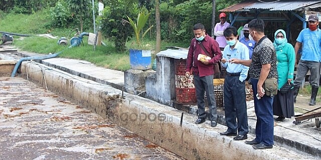 Wabup-Royal-Coconut-750x375