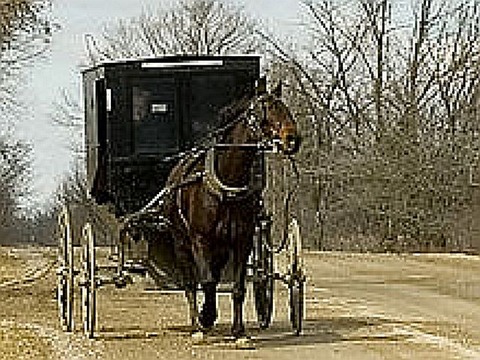 220px-Mennonite_and_carriage_publ