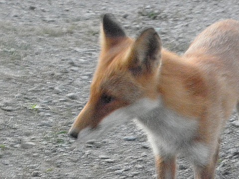 P8260019
