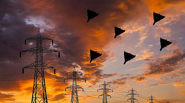 5620669-shahed-getty4