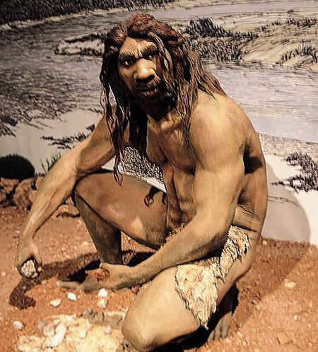 FireShot Webpage Screenshot #2223 - 'Homo heidelbergensi