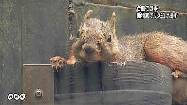 K10059815411_1206201829_1206211024_01