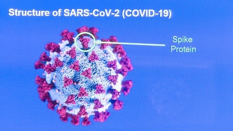 virus-outbreak-vaccine
