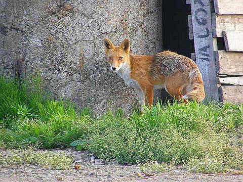 P6240559