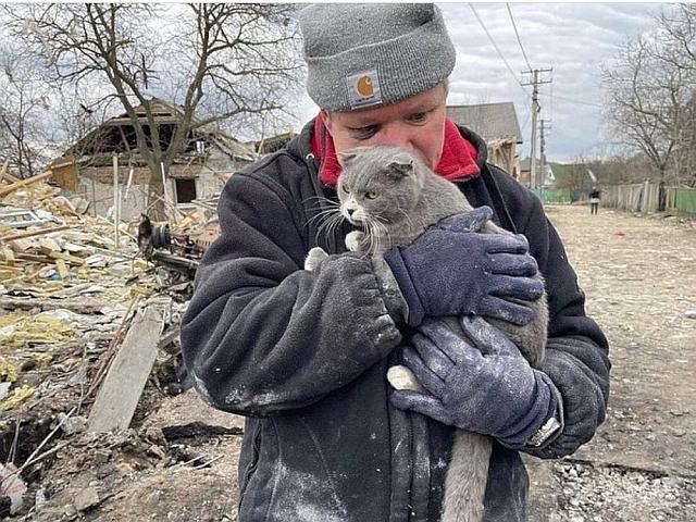 622c790c843ef30018e6c95a