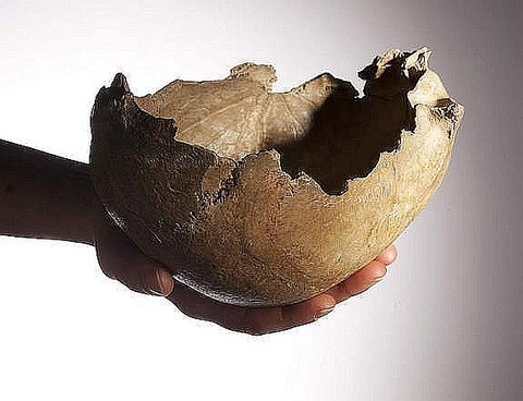 skull-cup-48