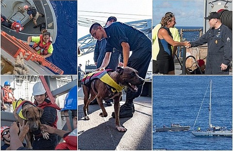 2-Mariners-and-Their-Dogs-Rescue-By-US-