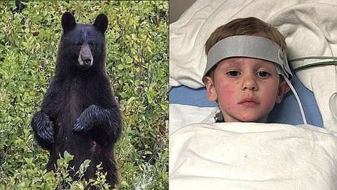 FI_CaseyHathaway_missing-8b38574