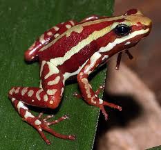 index　ｈｈｇｆ　ｈ