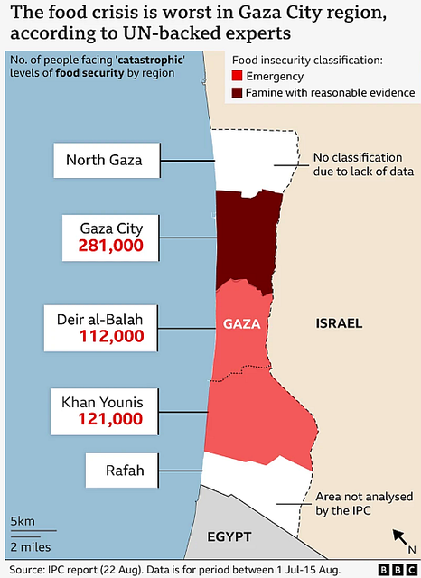 ‘Children are paying the highest p