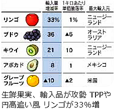 ニュージーランド 国別比率　りんご - Google 検索