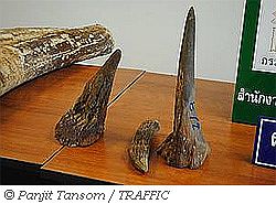 20120730c