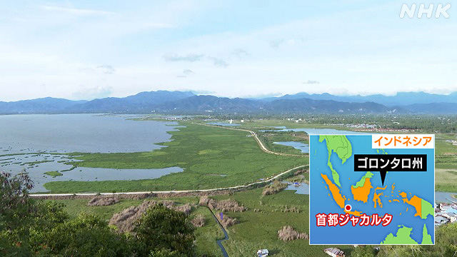 K10013972011_2302061520_0206154855_01_11