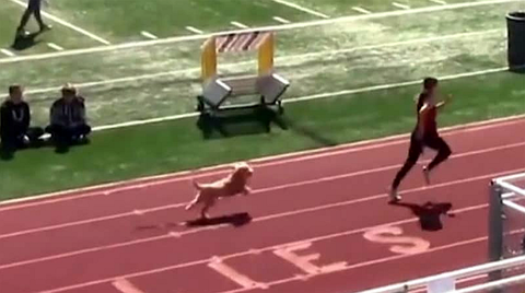 FireShot Webpage Screenshot #375 - '次々と選手を