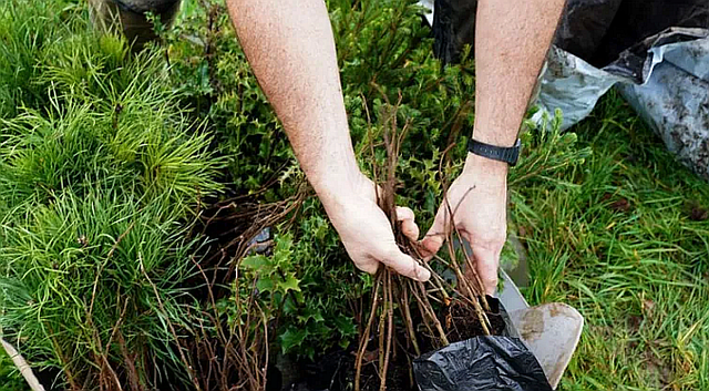 Ipbes report- Nature loss c