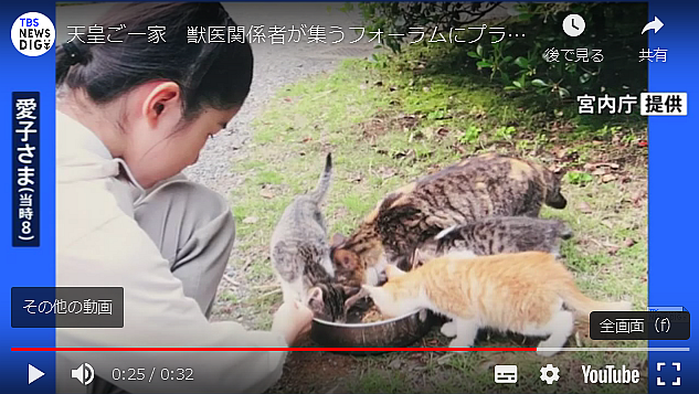 FireShot Capture 142 - 中東 I KWP New