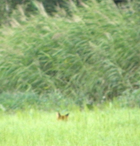 P8250035