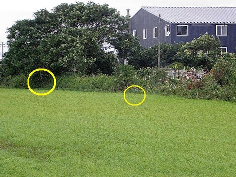 P8250033