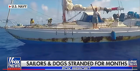 US Navy rescue sailors, dogs stranded at sea