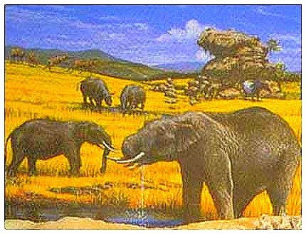 blank_clip_image002_00015b115d