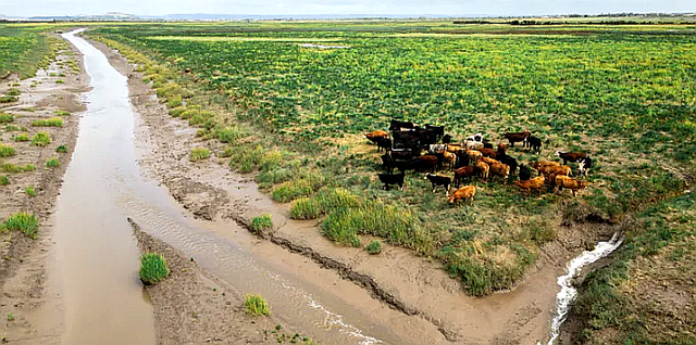 Ipbes report- Nature loss could spell extinction for businesses