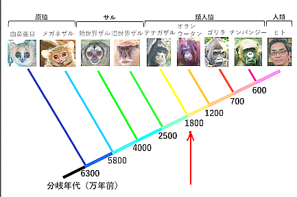 img_02.png (PNG Image, 900&nbsp;