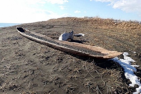 3da6a1220a0e5cd1283c7c75905b47ae