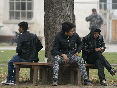 image_1454155215_13227099