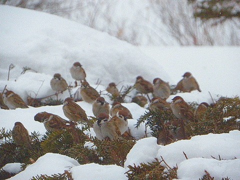 P2140032