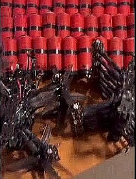 FireShot Webpage Screenshot #1432 - 'Is Ukraine U