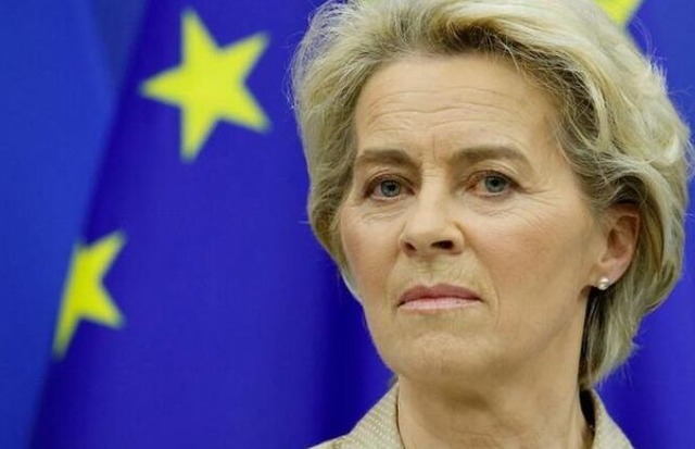 FireShot Webpage Screenshot #560 - 'ウクライナ復興資金、